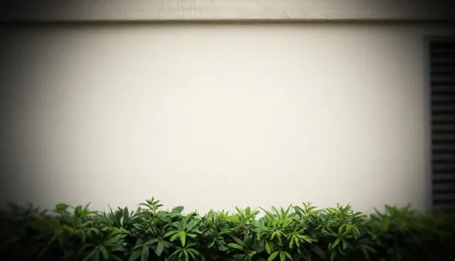 门诊健康检查中的常见误区与正确理解